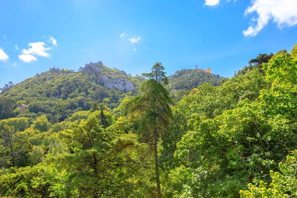 Sintra landmaks panorama — 图库照片