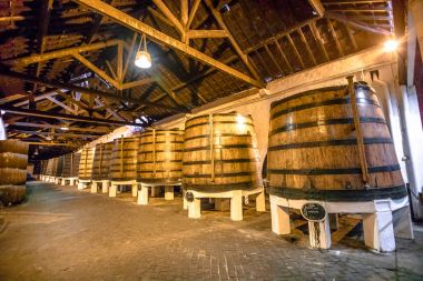 Şarap büyük varil