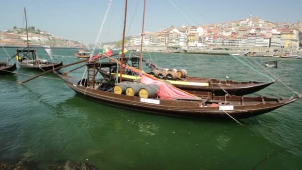 Porto Ribeira skyline — Stockvideo