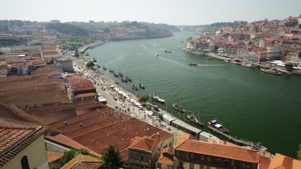 Douro River Porto — Stockvideo