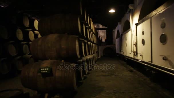 Cellar in Portugal — Stock Video