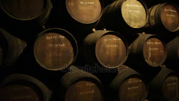 Ferreira Winery Porto — Stock Video