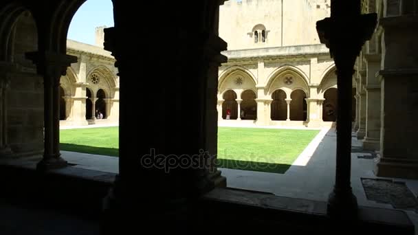 Santa Cruz kilise Coimbra — Stok video
