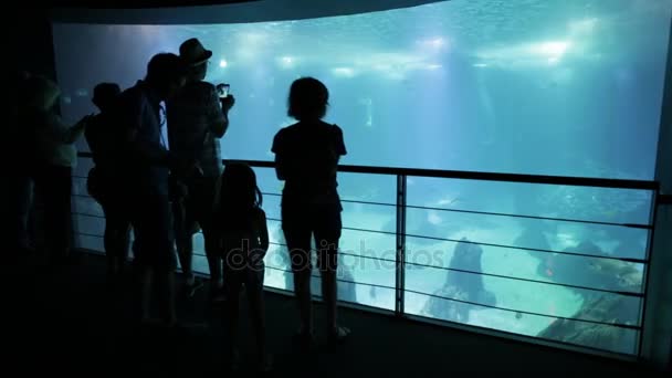 家庭在里斯本水族馆 — 图库视频影像