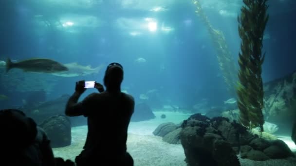 Mensen op het Oceanário de Lisboa — Stockvideo