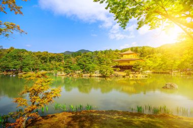 Kinkakuji altın köşk