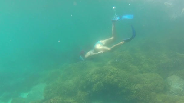 Молода жінка, підводне плавання — стокове відео
