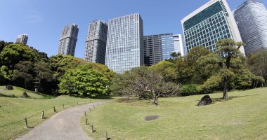 Hamarikyu bahçeleri Tokyo