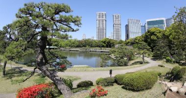 Tokyo Hamarikyu Bahçeleri