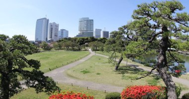 Hamarikyu bahçeleri Shiodome binalarda