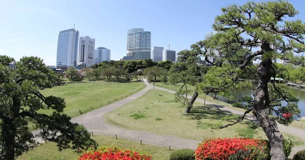Hamarikyu bahçeleri Shiodome binalarda
