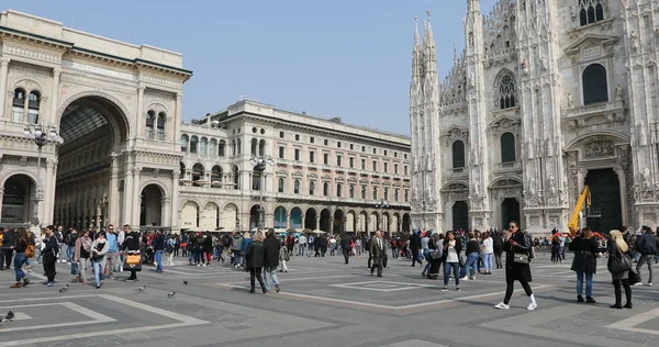 Milan flying pigeons — Stock Photo, Image