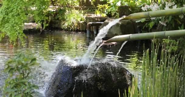 Японский фонтан и бамбуковые ковши — стоковое видео