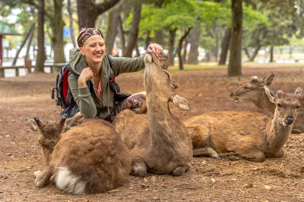 Woman touches Nara deer — Stock Photo, Image