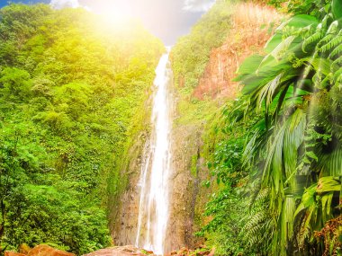 Guadeloupe Carbet Falls clipart