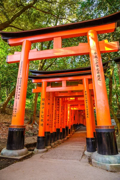 伏见 Inari 神道 — 图库照片