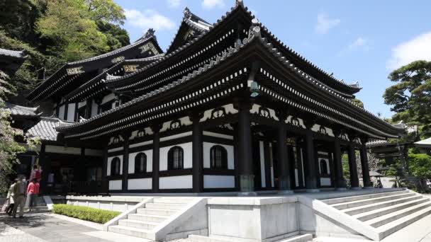 Balai Utama Hase-dera Kamakura — Stok Video