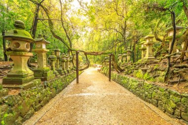 Kasuga Taisha Botanik Bahçesi