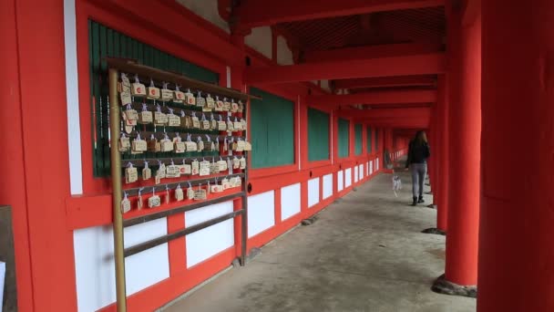 Placas de Ema en Kasuga-Taisha — Vídeo de stock