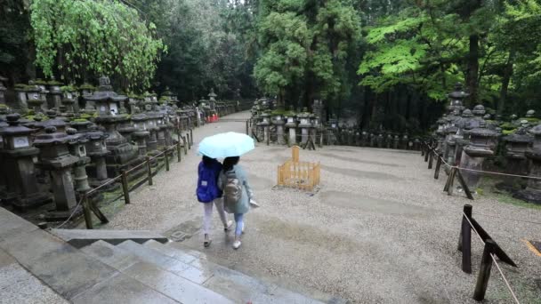 Ботанический сад Касуги Тайши — стоковое видео