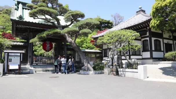 Hase dera Gate — Stockvideo