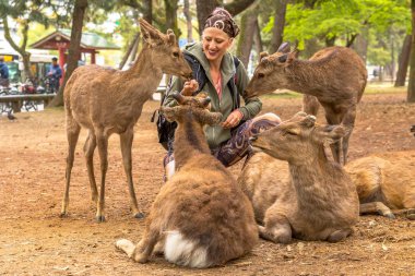 Woman touching wild deer clipart