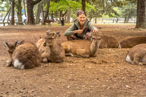 Nara hungry deer — Stock Photo, Image