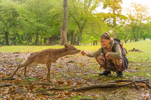 Woman feeds Nara deer — Stock Photo, Image