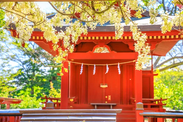 Benzaiten heiligdom met kersenbloesem — Stockfoto