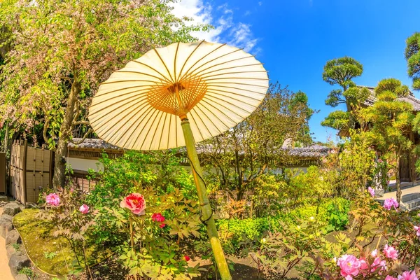 Paraguas de papel japonés — Foto de Stock