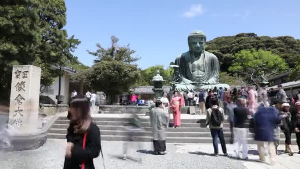 Kimono kvinnor på Big Buddha — Stockvideo