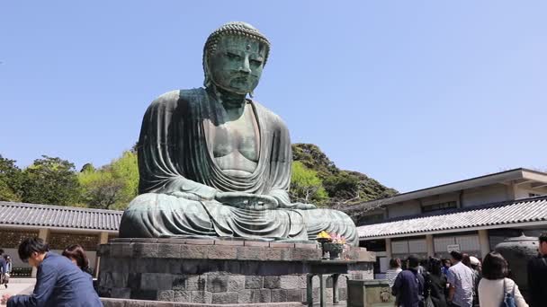 Grote Boeddha in kamakura — Stockvideo