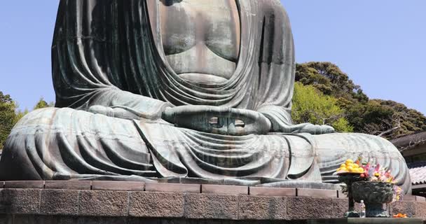 Wielki Budda Daibutsu — Wideo stockowe