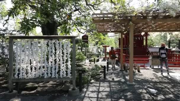 Sanctuaire Benzaiten hanami — Video