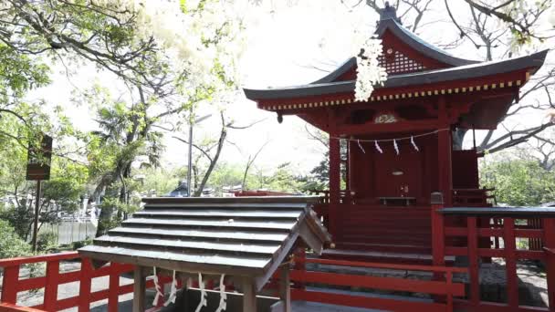 Benzaiten Shrine springtime — Stock Video