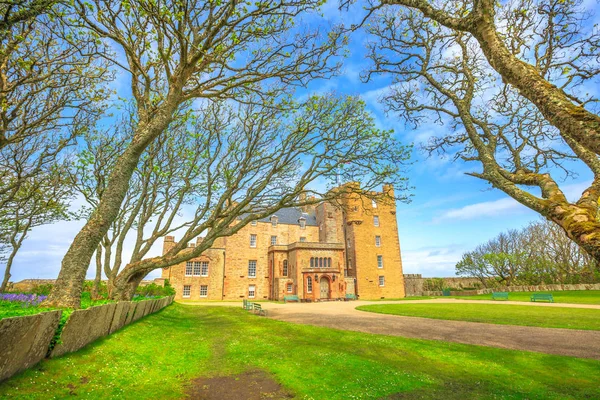 Castle of Mey forest