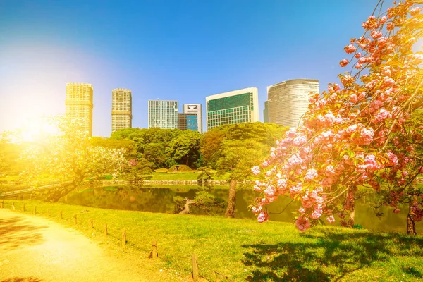 Tokyo sakura primavera — Foto de Stock