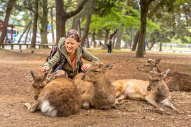 Kadın geyik yayınları