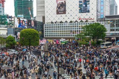 Shibuya yoğun yaya geçidi