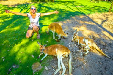 Woman with kangaroos clipart