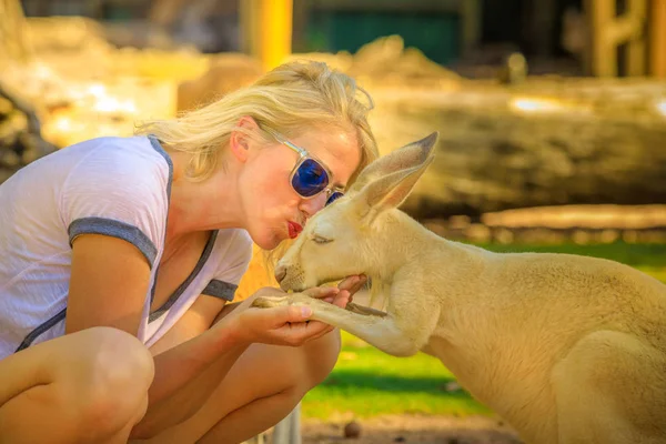 Woman kissing Kangaroo — Stock Photo, Image