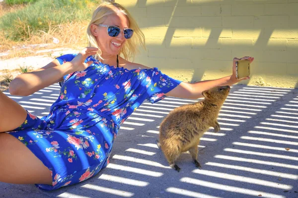 Selfie s klokan Quokka — Stock fotografie