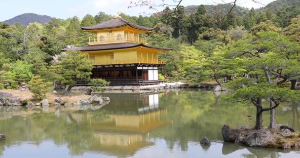 Kinkakuji храм Кіото — стокове відео