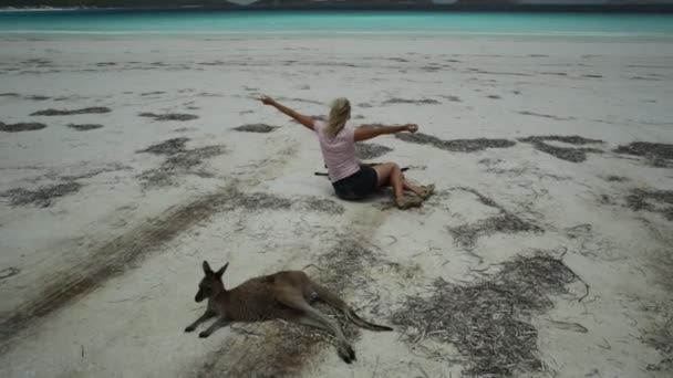 Frau genießt Känguru in glücklicher Bucht — Stockvideo