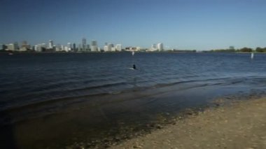 Perth cityscape üzerinde uçan karabatak