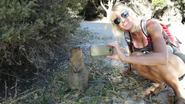 自拍与 Quokka — 图库视频影像