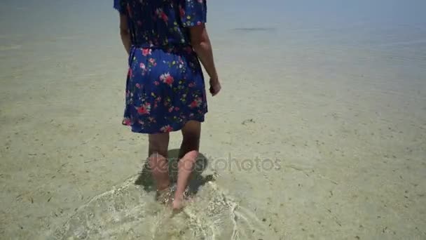 Turist på Shell Beach — Stockvideo