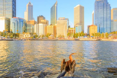 Gün batımında Perth manzarası