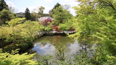 Zenrin-ji Tapınağı Kyoto
