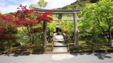 Torii Gate civarındaki Eikando